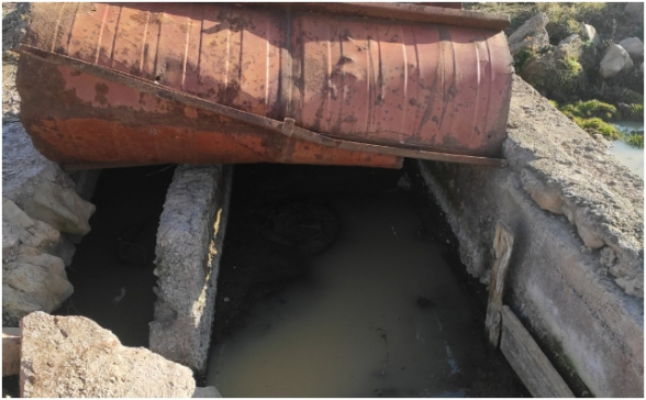 Բնապահպան կոչվող ակտիվիստները հերթական անգամ բռնվեցին հերթական ստի վրա